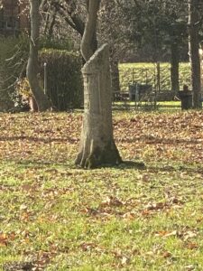 410807241_354550843881403_1477389155014195642_n